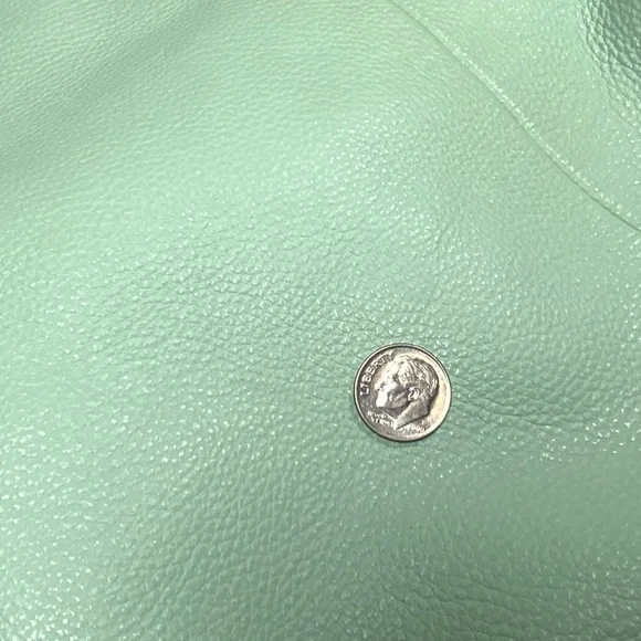 Coach Mint Green Leather Phoebe Shoulder Bag F35723 - Picture 3 of 16